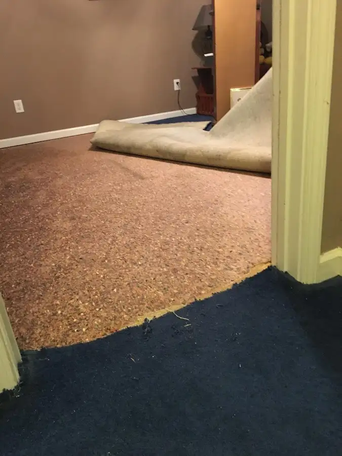 Carpet pad removal revealing water damage during Water Mitigation Services in Lake Elmo