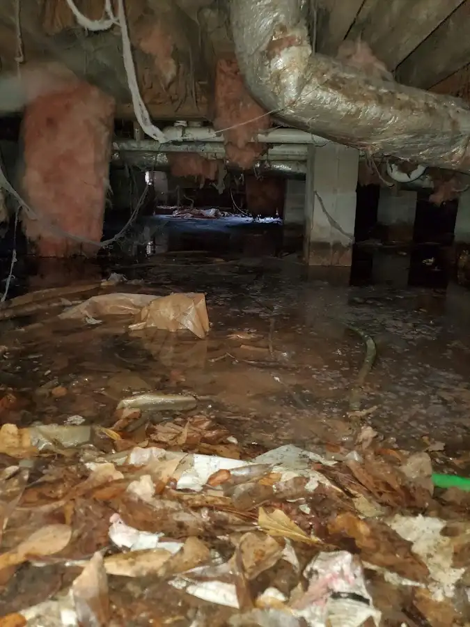 Crawl space flood assessment for Commercial Water Damage Restoration in Lake Elmo